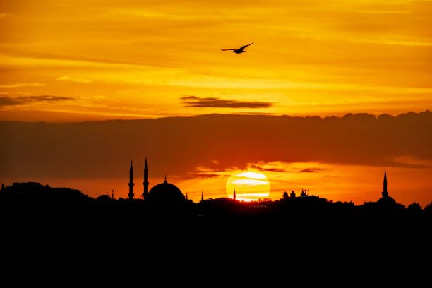 Istanbul USA 伊斯坦布尔